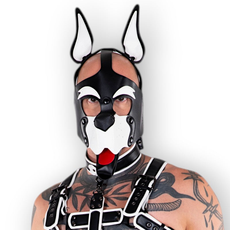 Dog Mask - White