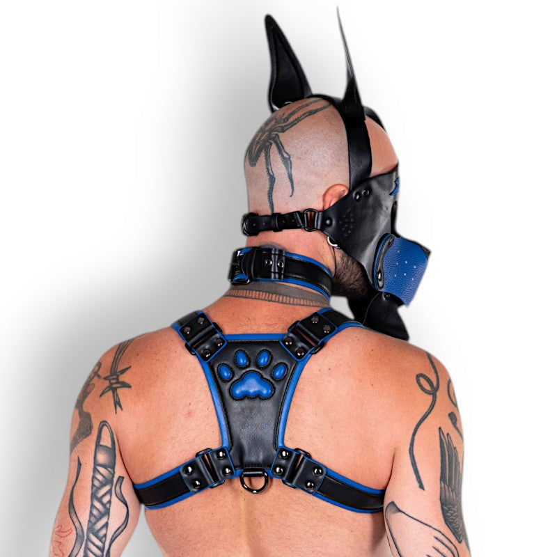 Dog Mask - Blue