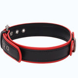 Bone Puppy Collar - Red
