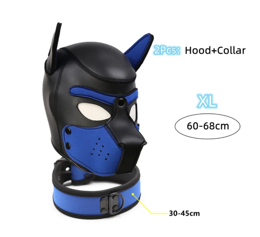 Puppy Hood & Collar Blue