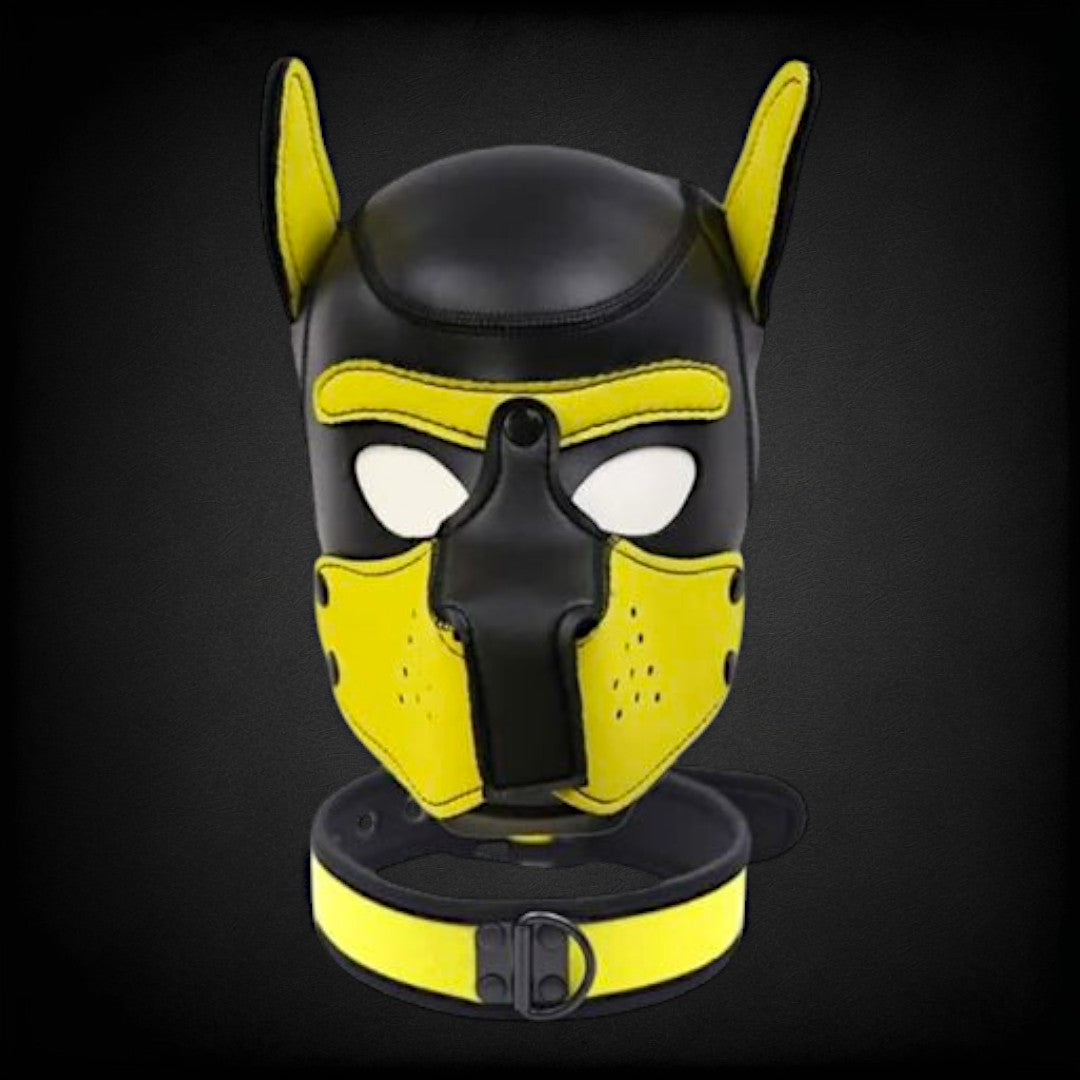 Puppy Hood & Collar
