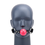 Ball Gag With Pink Ball