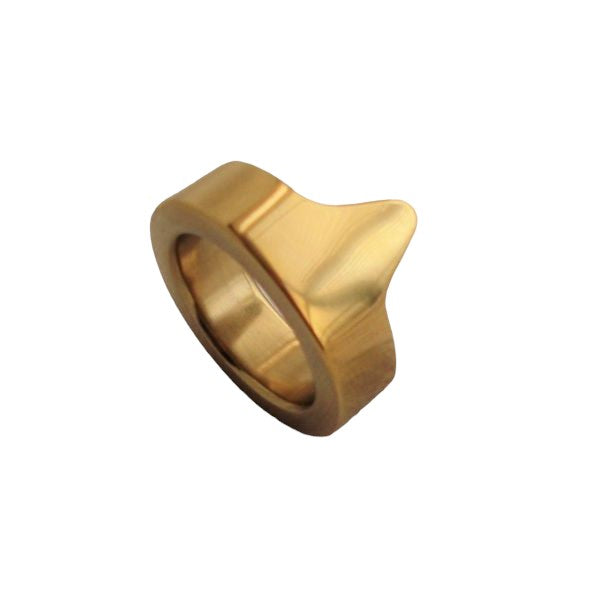Gold Steel Glans Ring