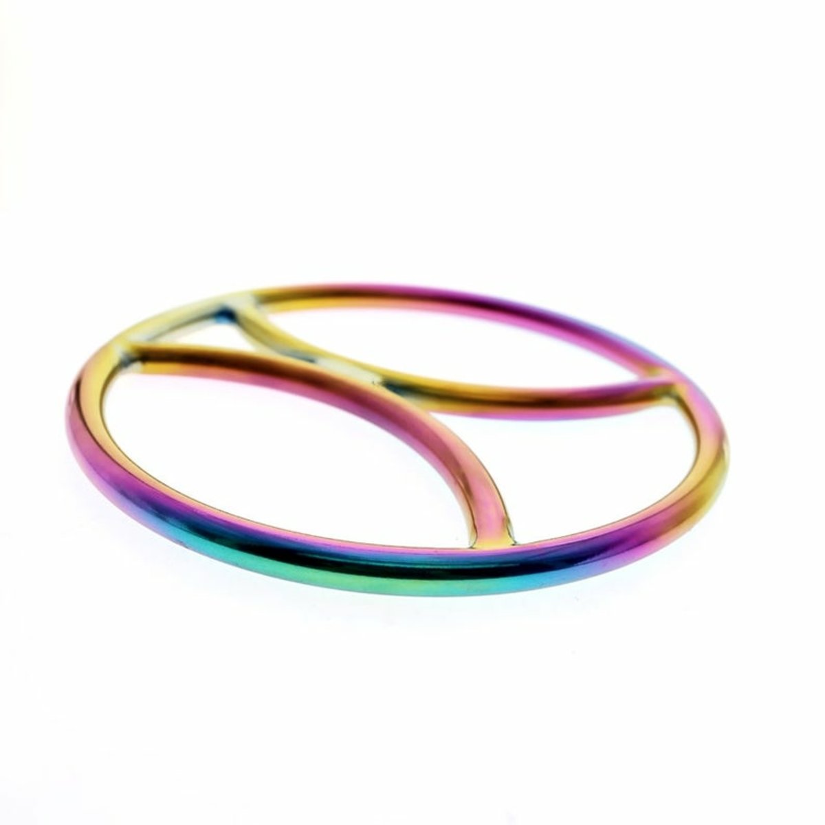 Shibari Suspension Bondage Ring (Rainbow Steel)