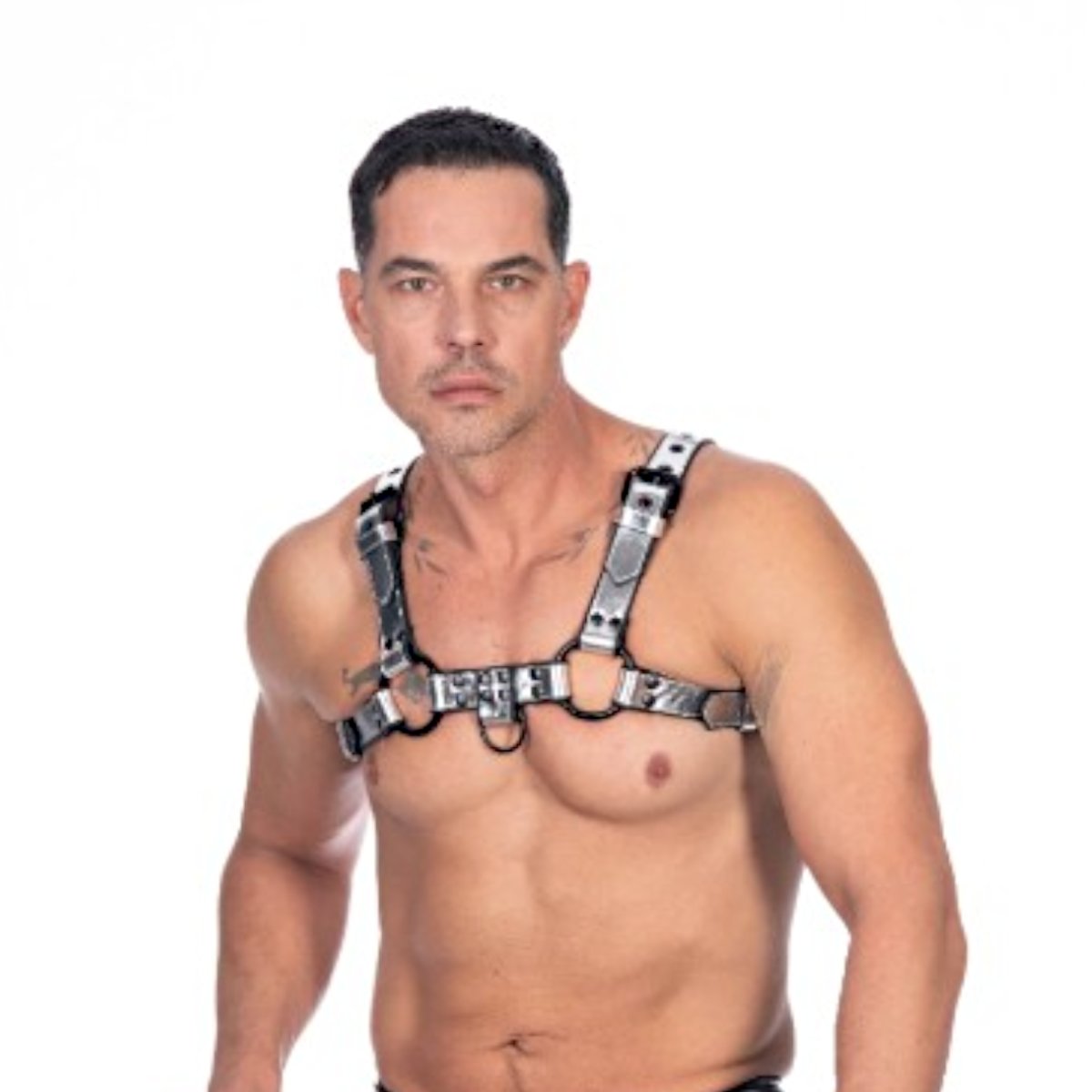 Metallic Leather Male Bull Dog Harness-Leather Lined M2O
