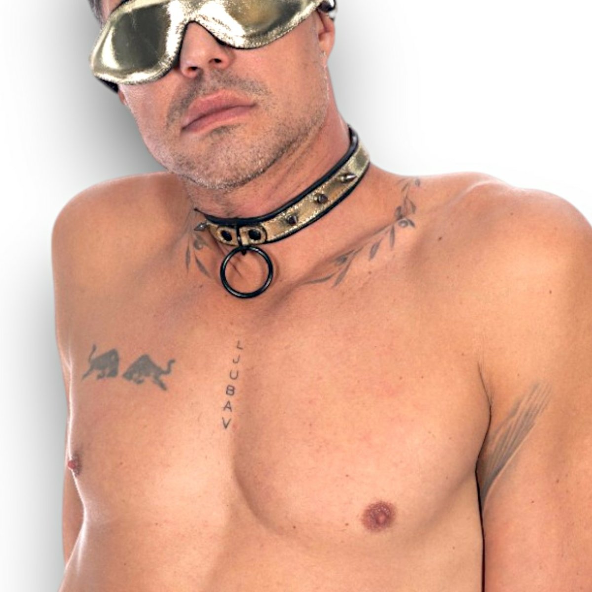 Metallic Leather Slim Spikes & Ring Collar Padded & Leather Lined Gold/Black Small Width