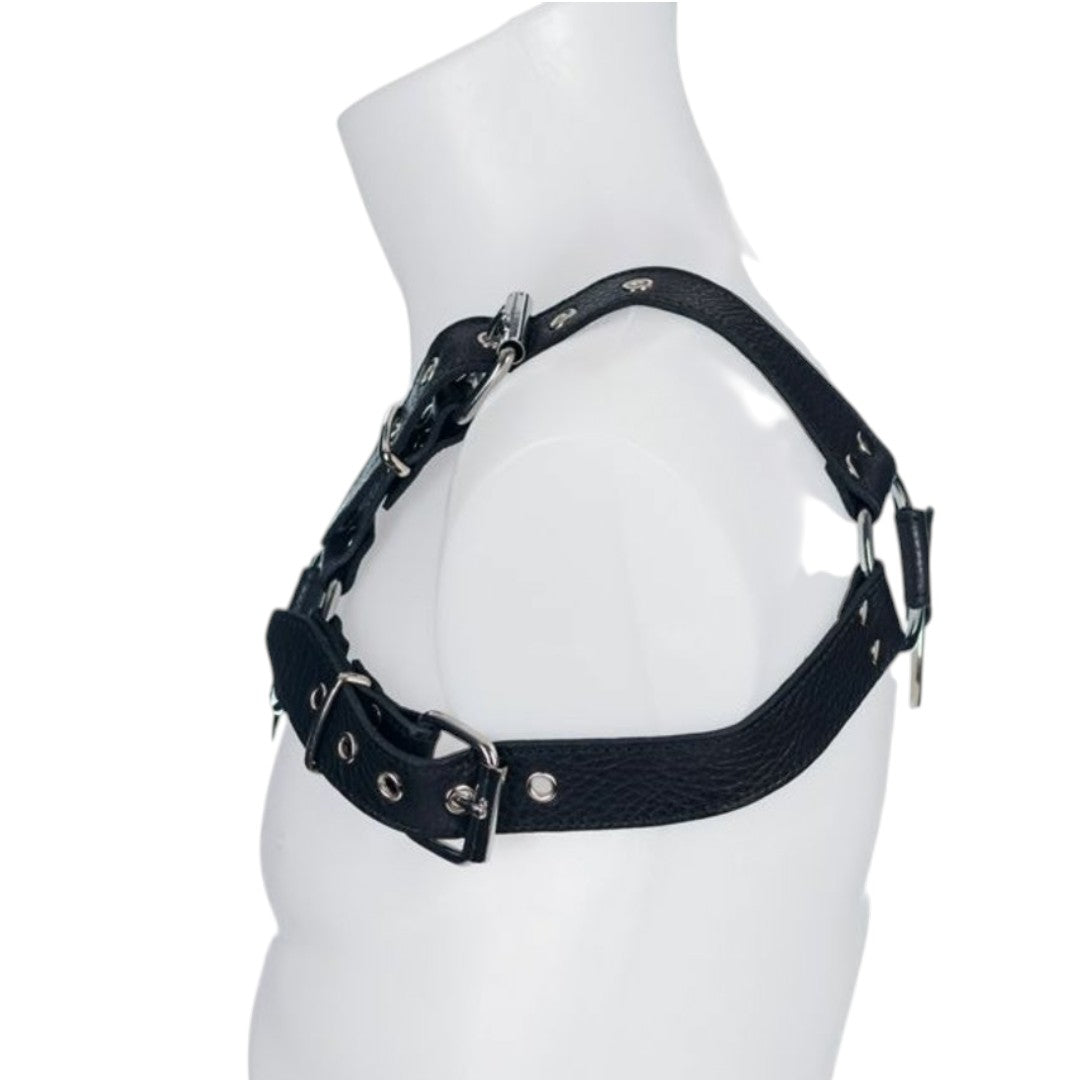 Soft Leather Male Upper Body Bull Dog MTO