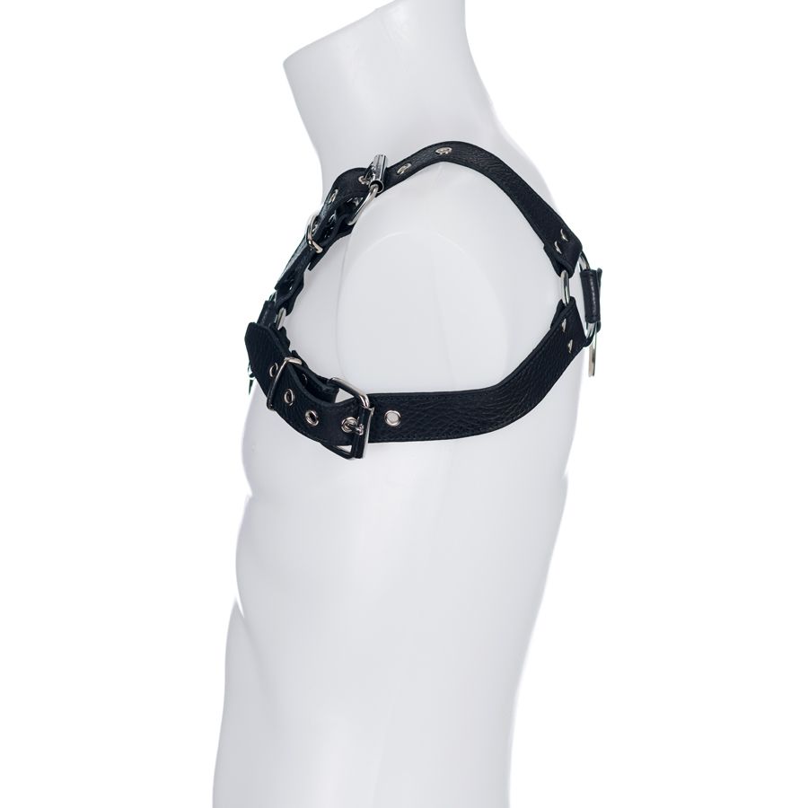 Male Upper Body Bull Dog Harness