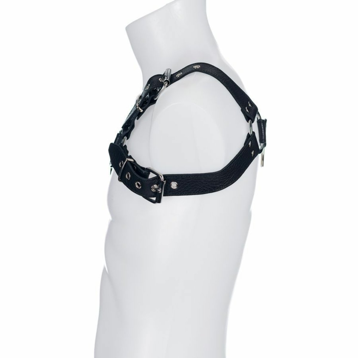 Soft Leather Male Upper Body Bull Dog M2O