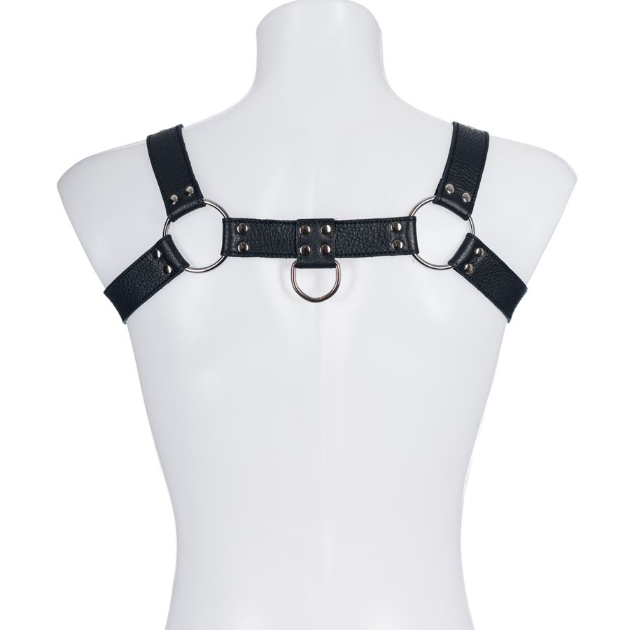 Male Upper Body Bull Dog Harness