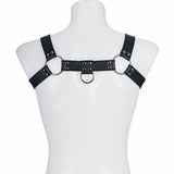 Soft Leather Male Upper Body Bull Dog M2O