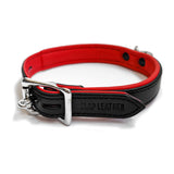 20mm Collar w/ Padlock Padded & Leather Lined BLK/RED