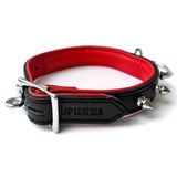 20mm Collar S/M w/ Spikes & Ring Padded & Leather Lined