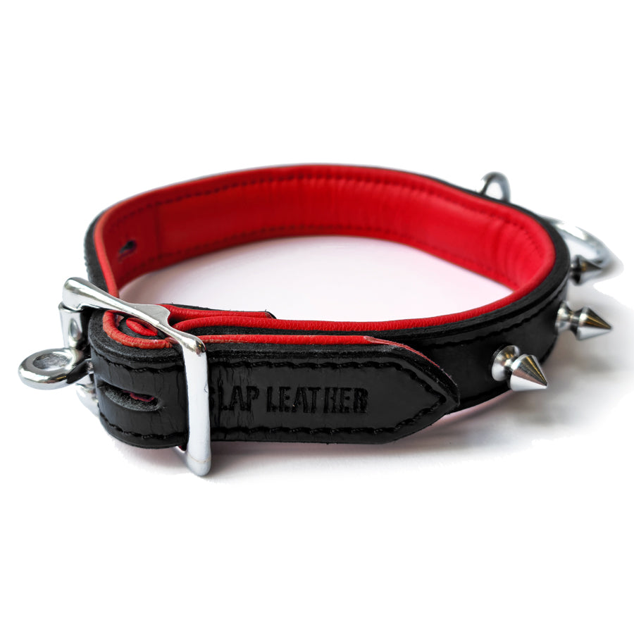 20mm Collar M/L w/ Spikes & Ring Padded & Leather Lined