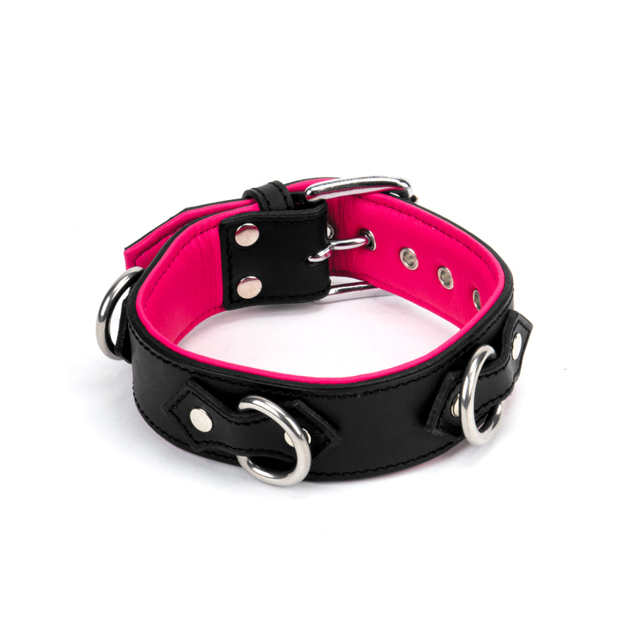 40mm Collar 3x D Ring Padded & Lined S M