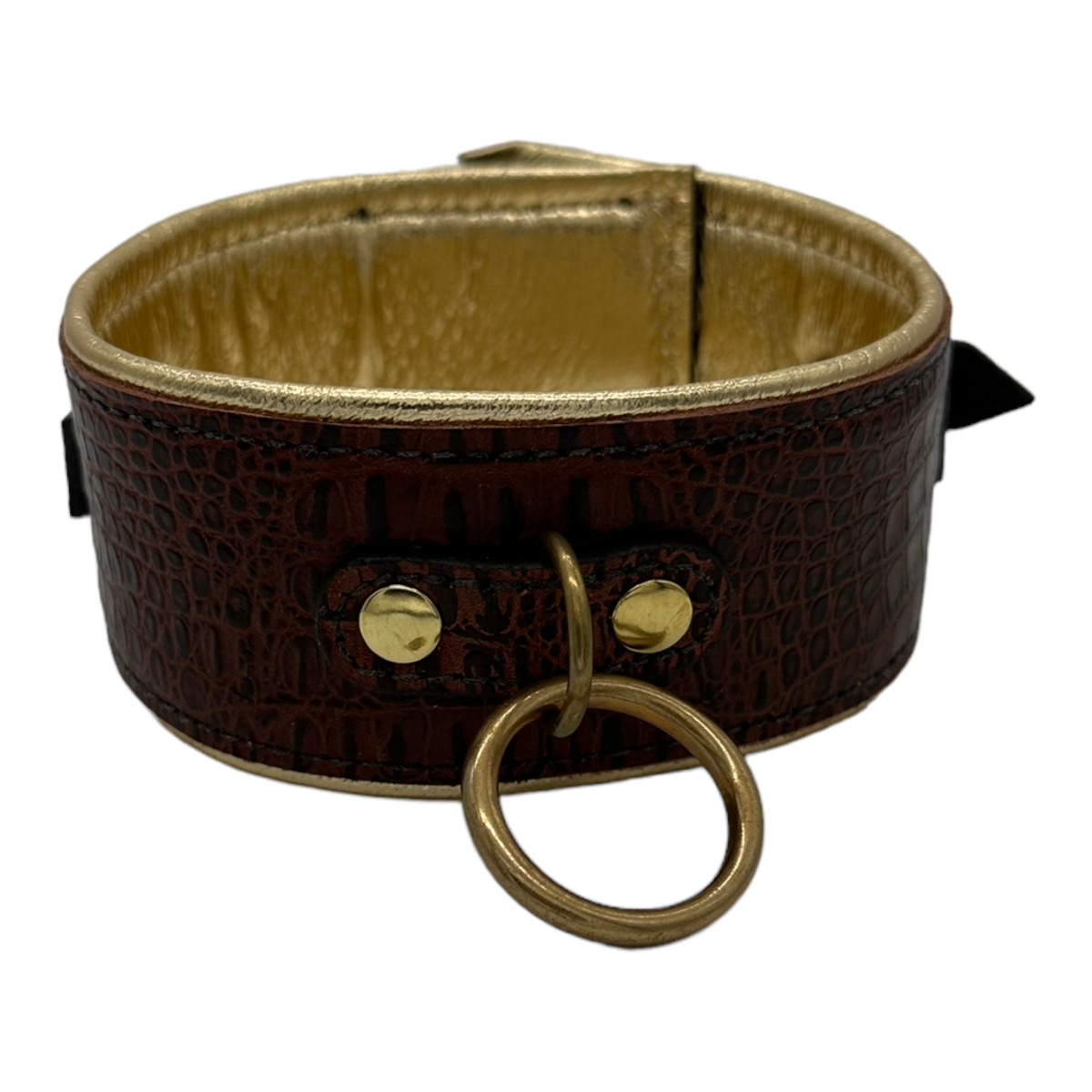 Wing Collar in Brown Croc with Gold Lining S/M