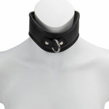 Curved D-Ring Collar M/L Padded & Black Leather Lined