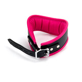 Curved D-Ring Collar M/L Padded & Pink Leather Lined