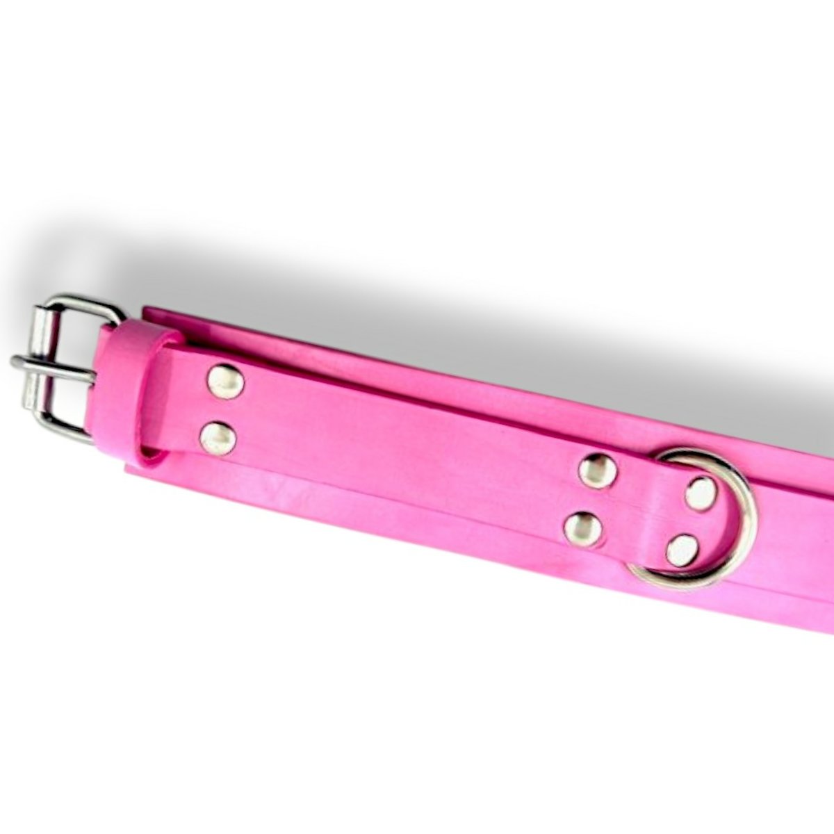 50mm Wide Strap Collar With D-Ring-Unlined