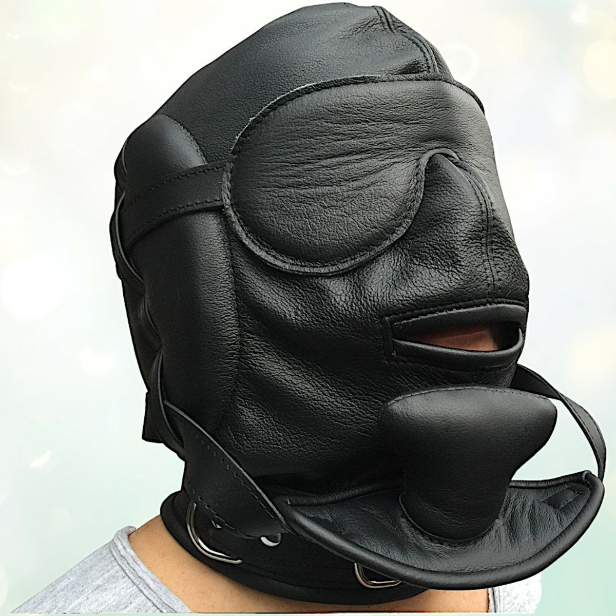 Deluxe Leather Mask Lockable