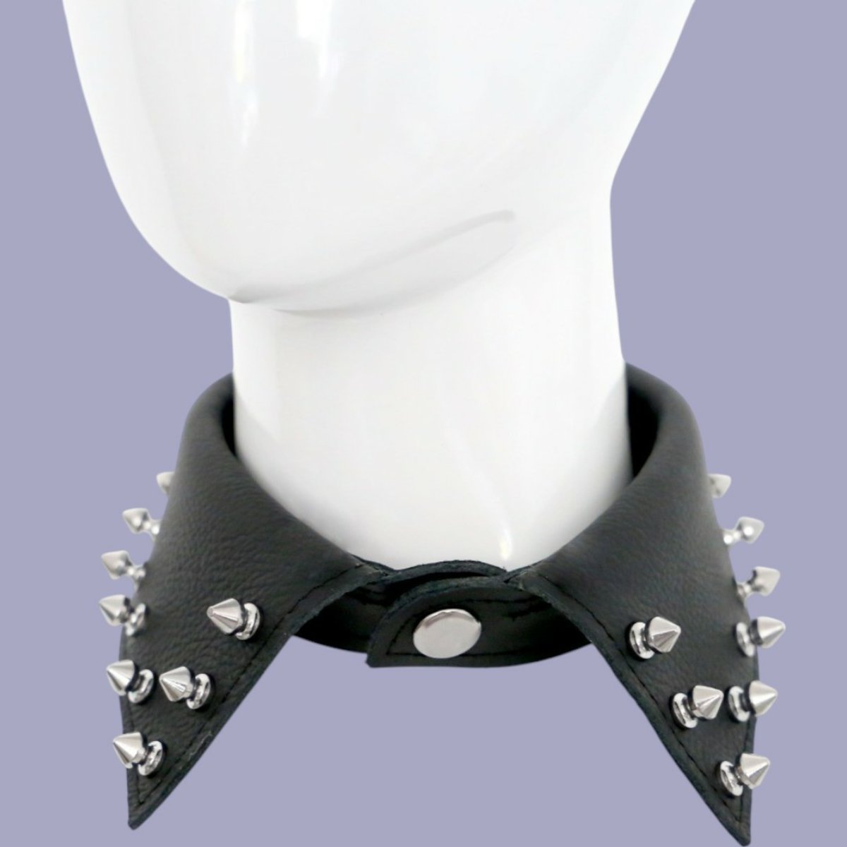 Leather Studed Collar