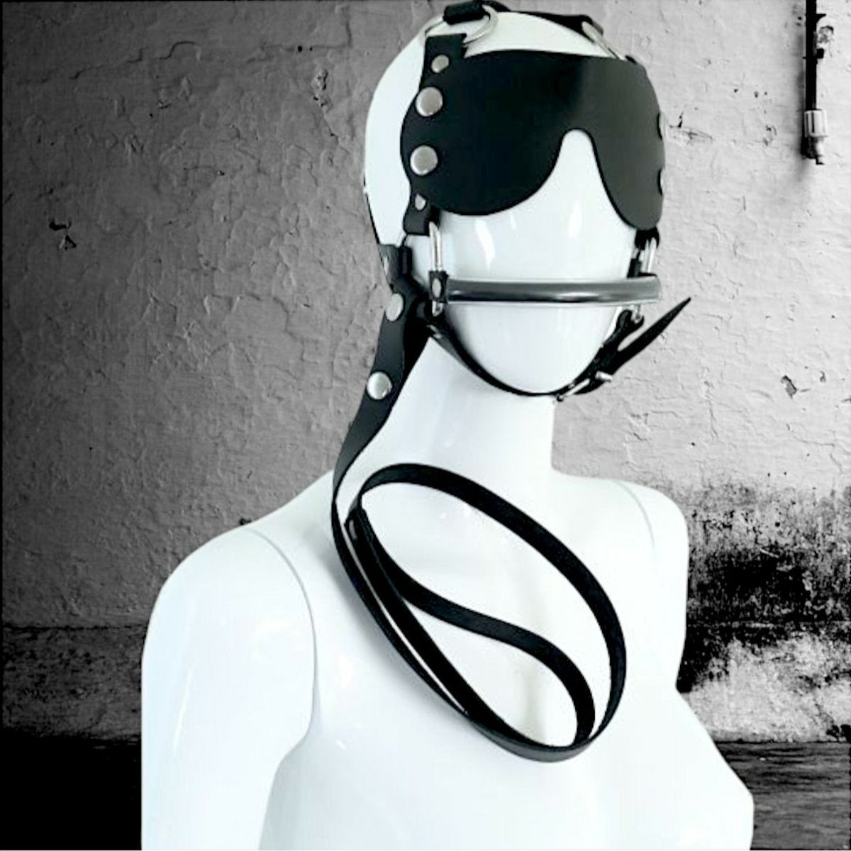 Head Harness With Eye Patch And Leash