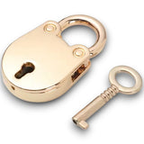 Metallic Leather Spikes & Padlock Collar Padded & Leather Lined