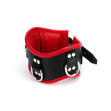 Posture Collar S/M Padded & Red Leather Lined