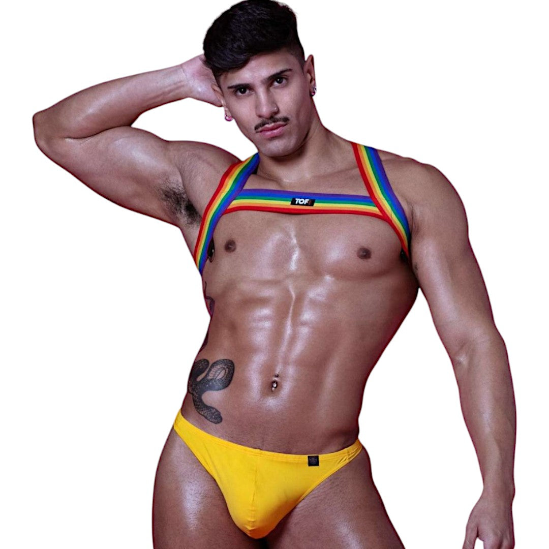 Rainbow Chest Harness
