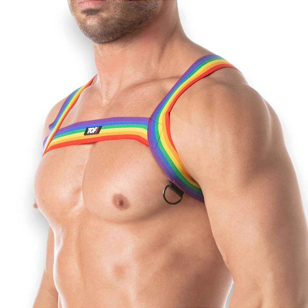 Rainbow Chest Harness
