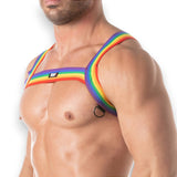 Rainbow Chest Harness