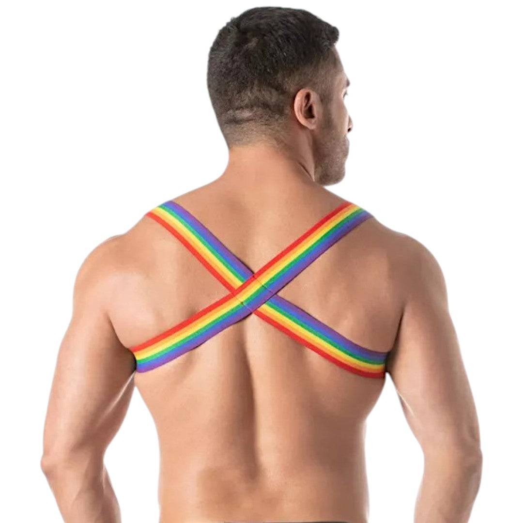 Rainbow Chest Harness