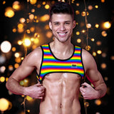 Rainbow Mens Harness