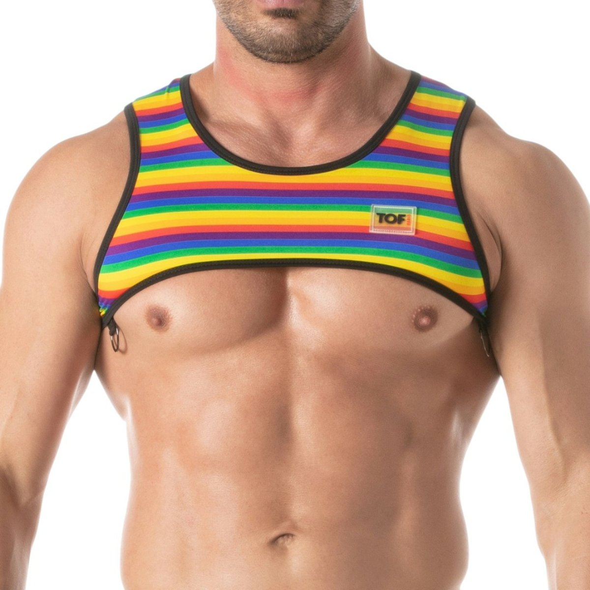 Rainbow Mens Harness