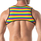 Rainbow Mens Harness
