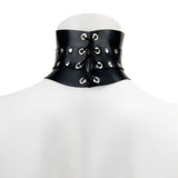 Posture Diamante Padlock Collar