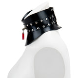 Posture Red Padlock Collar