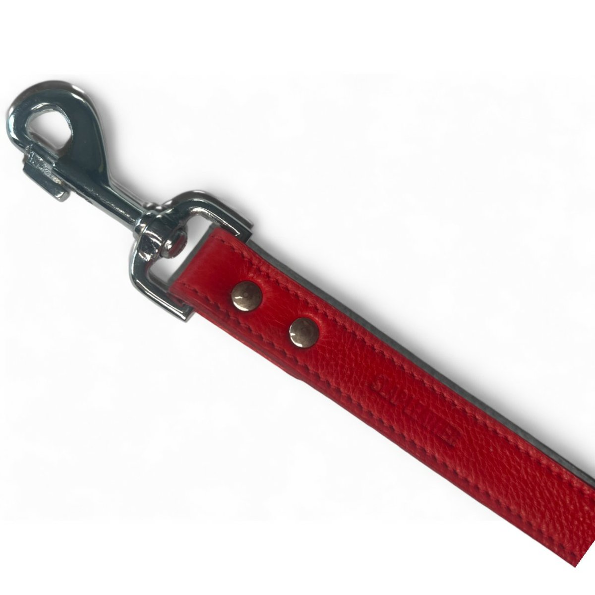 Soft Leather Slave Lead M2O