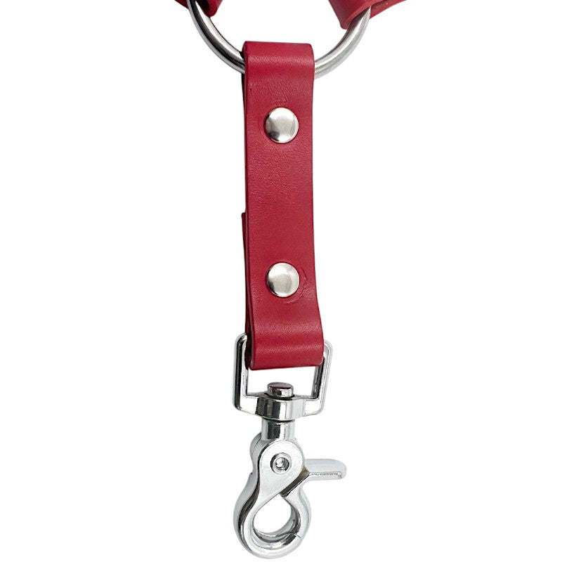 Four Strap Clip Tether Raw (M20)
