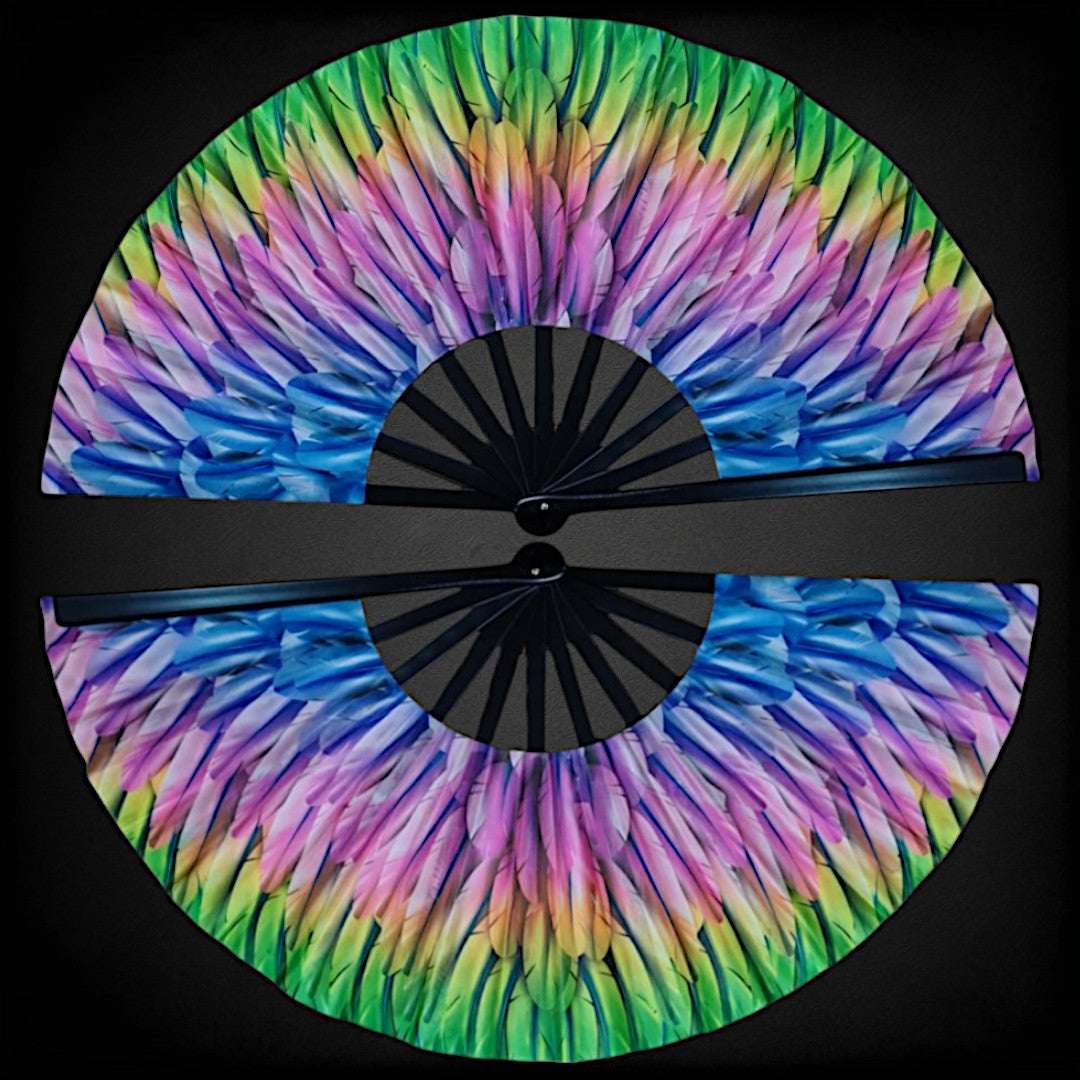 Fabulous Feathers Fan