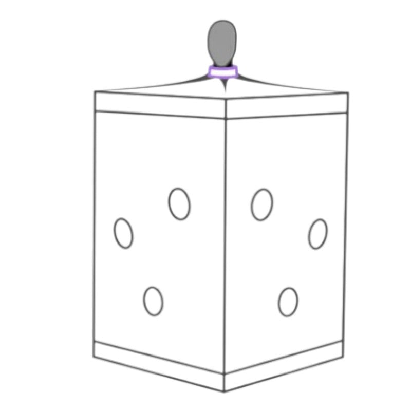 Secret Dome Scandale Giant Bondage Box Purple
