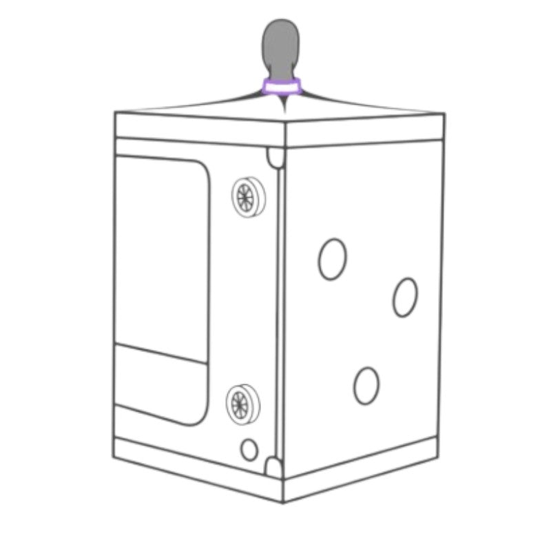 Secret Dome Scandale Giant Bondage Box Purple