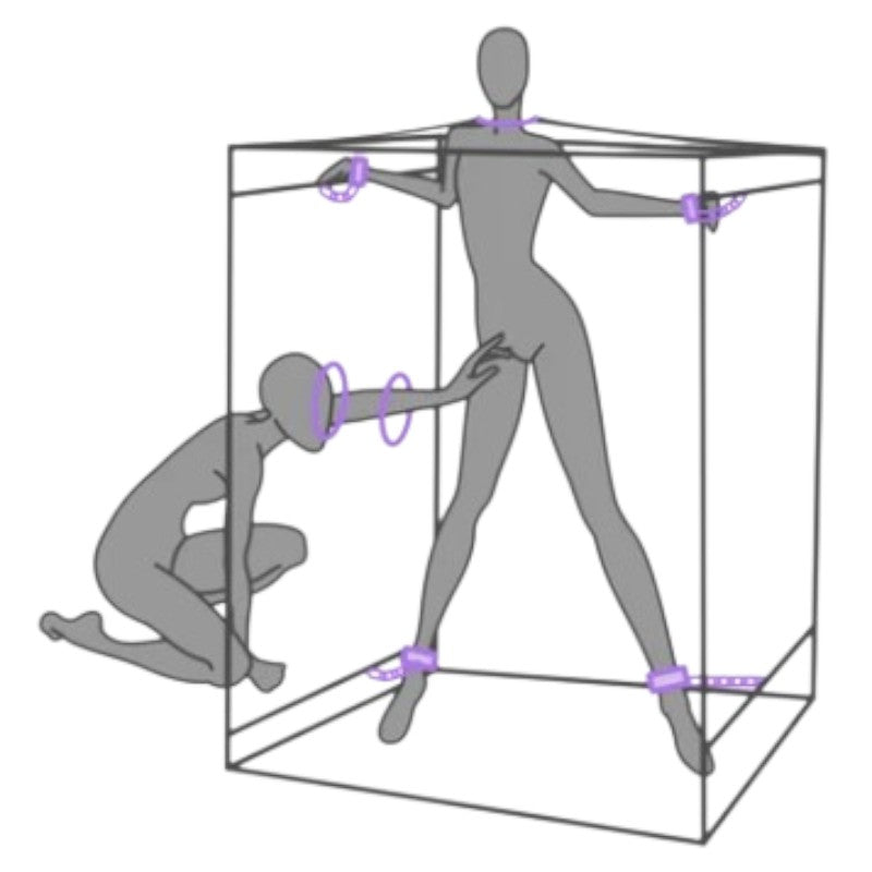 Secret Dome Scandale Giant Bondage Box Purple
