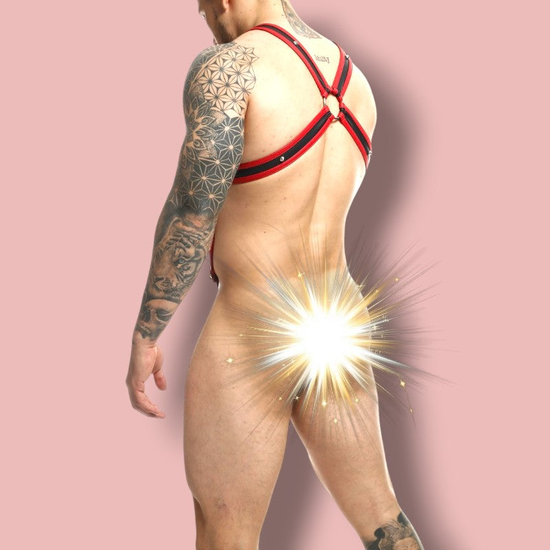 DNGEON Cross Cockring Harness RED/BLACK