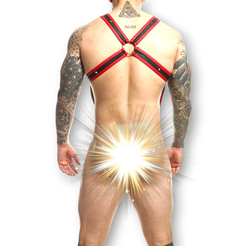 DNGEON Cross Cockring Harness RED/BLACK