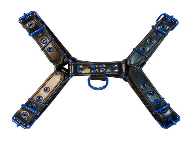 Leather O.T.H Front Harness Black With Blue Accessories