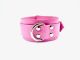 50 mm Wide Strap Collar with 1D-Ring - Unlined (Raw)